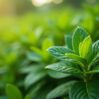 【調うハウスクリーニング】　　大和市　ハウスクリーニング｜ 株式会社R&C NAC